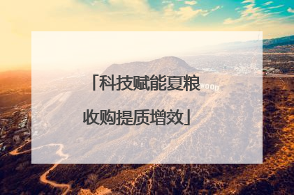 科技赋能夏粮收购提质增效
