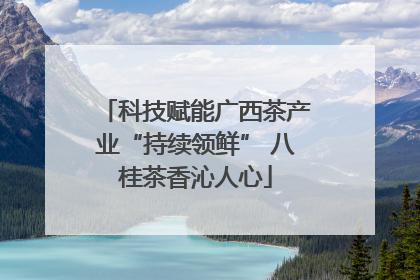 科技赋能广西茶产业“持续领鲜” 八桂茶香沁人心