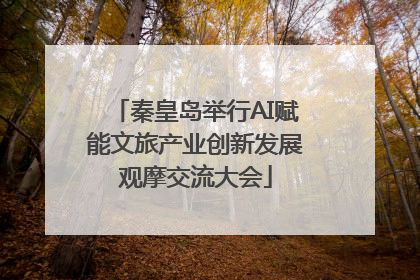 秦皇岛举行AI赋能文旅产业创新发展观摩交流大会