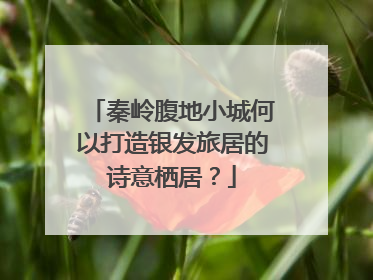秦岭腹地小城何以打造银发旅居的诗意栖居？