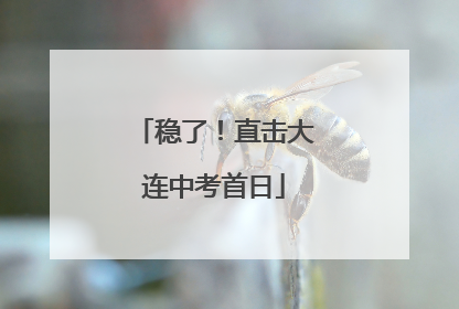 稳了！直击大连中考首日