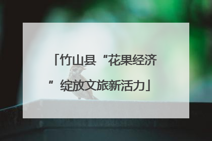 竹山县“花果经济”绽放文旅新活力