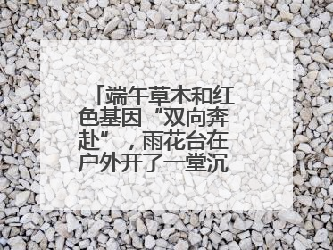 端午草木和红色基因“双向奔赴”，雨花台在户外开了一堂沉浸式思政课