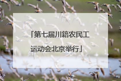 第七届川籍农民工运动会北京举行