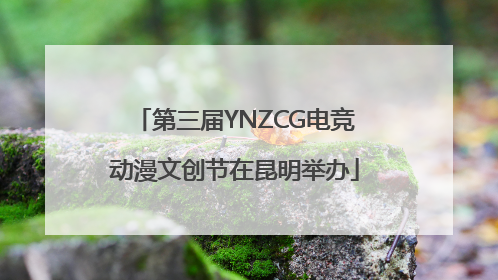 第三届YNZCG电竞动漫文创节在昆明举办