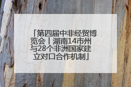 第四届中非经贸博览会丨湖南14市州与28个非洲国家建立对口合作机制