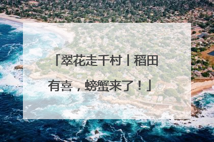 翠花走千村丨稻田有喜，螃蟹来了！