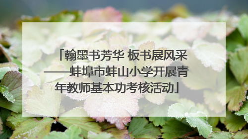 翰墨书芳华 板书展风采——蚌埠市蚌山小学开展青年教师基本功考核活动