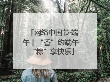 网络中国节·端午｜“香”约端午 “粽”享快乐