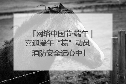 网络中国节·端午｜喜迎端午“粽”动员 消防安全记心中