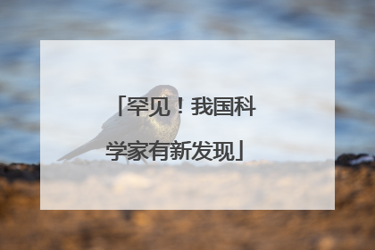 罕见！我国科学家有新发现