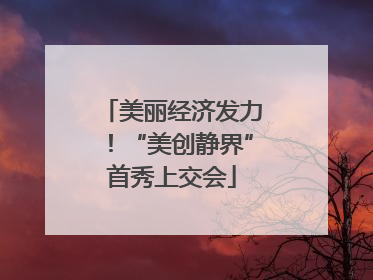 美丽经济发力！“美创静界”首秀上交会