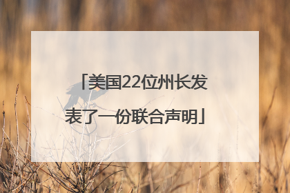 美国22位州长发表了一份联合声明