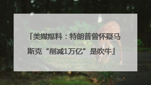 美媒爆料：特朗普曾怀疑马斯克“削减1万亿”是吹牛