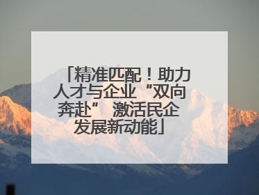 精准匹配！助力人才与企业“双向奔赴” 激活民企发展新动能