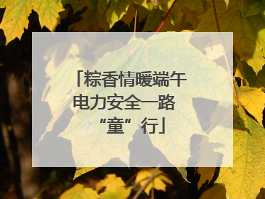 粽香情暖端午 电力安全一路“童”行