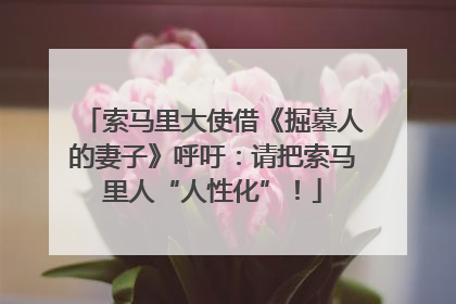 索马里大使借《掘墓人的妻子》呼吁：请把索马里人“人性化”！