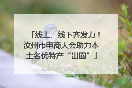 线上、线下齐发力！汝州市电商大会助力本土名优特产“出圈”