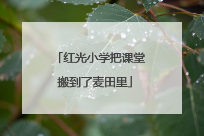 红光小学把课堂搬到了麦田里