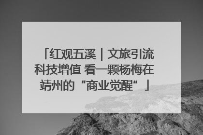 红观五溪｜文旅引流 科技增值 看一颗杨梅在靖州的“商业觉醒”