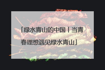 绿水青山的中国丨当青春理想遇见绿水青山