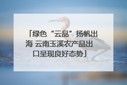 绿色“云品”扬帆出海 云南玉溪农产品出口呈现良好态势