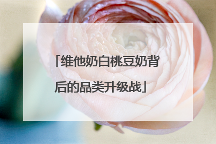 维他奶白桃豆奶背后的品类升级战