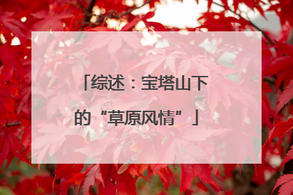 综述：宝塔山下的“草原风情”