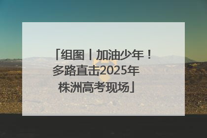 组图丨加油少年！多路直击2025年株洲高考现场