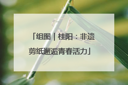 组图｜桂阳：非遗剪纸邂逅青春活力