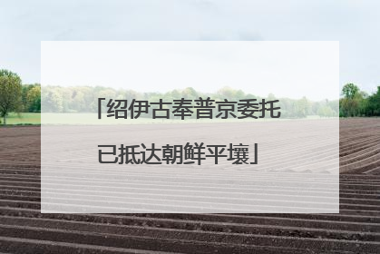 绍伊古奉普京委托已抵达朝鲜平壤