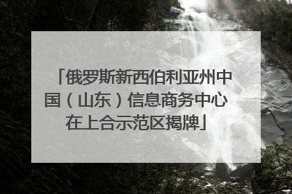 俄罗斯新西伯利亚州中国（山东）信息商务中心在上合示范区揭牌