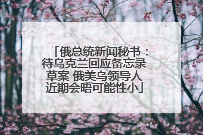 俄总统新闻秘书：待乌克兰回应备忘录草案 俄美乌领导人近期会晤可能性小