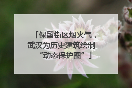 保留街区烟火气，武汉为历史建筑绘制“动态保护图”