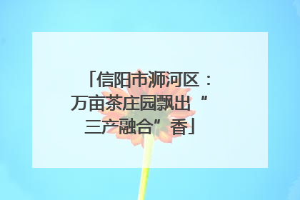信阳市浉河区：万亩茶庄园飘出“三产融合”香