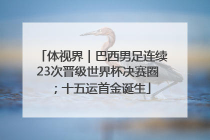 体视界｜巴西男足连续23次晋级世界杯决赛圈；十五运首金诞生