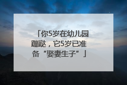 你5岁在幼儿园蹦跶，它5岁已准备“娶妻生子”