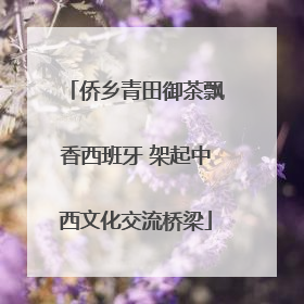 侨乡青田御茶飘香西班牙 架起中西文化交流桥梁