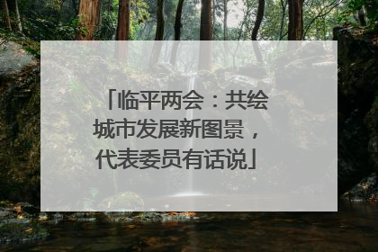 临平两会：共绘城市发展新图景，代表委员有话说