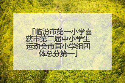 临汾市第一小学喜获市第二届中小学生运动会市直小学组团体总分第一