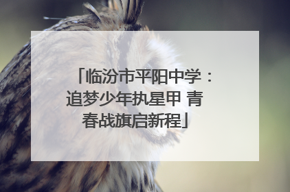 临汾市平阳中学：追梦少年执星甲 青春战旗启新程