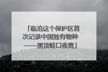 临沧这个保护区首次记录中国独有物种——黑顶蛙口夜鹰
