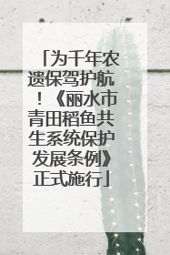 为千年农遗保驾护航！《丽水市青田稻鱼共生系统保护发展条例》正式施行