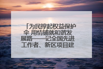 为民撑起权益保护伞 用情铺就和谐发展路——记全国先进工作者、新区项目建设中心干部卢小勇