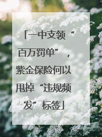 一中支领“百万罚单”，紫金保险何以甩掉“违规频发”标签