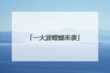 一大波螳螂来袭