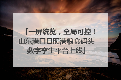 一屏统览，全局可控！山东港口日照港粮食码头数字孪生平台上线