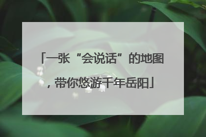 一张“会说话”的地图，带你悠游千年岳阳