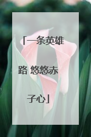 一条英雄路 悠悠赤子心