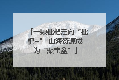 一颗枇杷走向“枇杷+” 山海资源成为“聚宝盆”